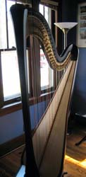 Penti harp