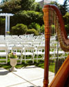 Devon's harp at Aberdeen