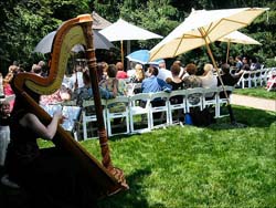 Foster Park Bridal Glen