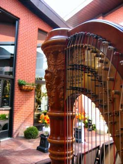 Gamba Ristorante