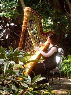 Frederick Meijer Gardens