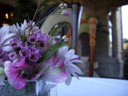 Beiger Mansion Wedding and Harp Music