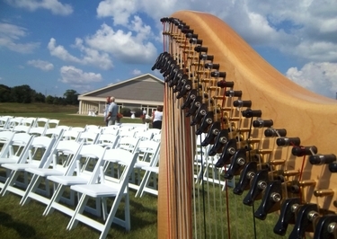 Celtic Wedding Harpist