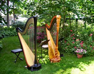 private residence, cassopolis, michigan, wedding and harp music