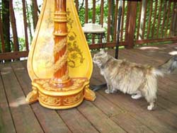 Castle in the Country, Wedding and Harp Music