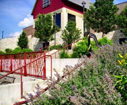 Northwest Indiana Wedding Musician Harp