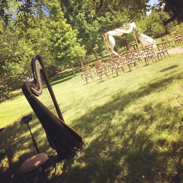 champaign urbana Wedding Harpist