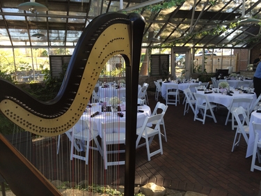 Harp Music for a Wedding