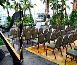 Navy Pier Crystal Gardens, Chicago, Illinois, Wedding and Harp Music