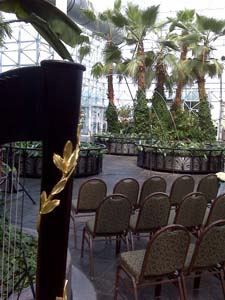 Navy Pier Crystal Gardens, Chicago, Illinois, Wedding and Harp Music