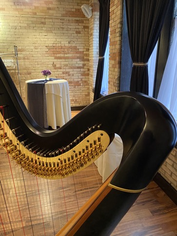 michigan Wedding Harpist