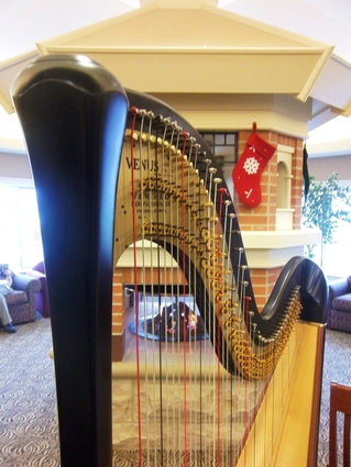 Granger Indiana Chistmas Concert Harpist