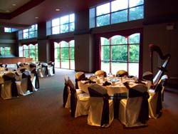 Halls of St. George, Schererville, Indiana, Wedding and Harp Music