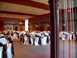 Halls of St. George, Schererville, Indiana, Wedding and Harp Music