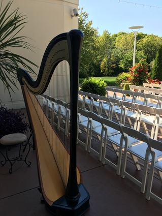 Harpist in Chicago West Suburbs
