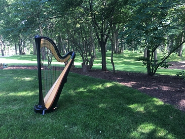 Chicago Suburbs Wedding Harpist