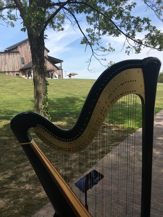 Iowa City Wedding Harpist