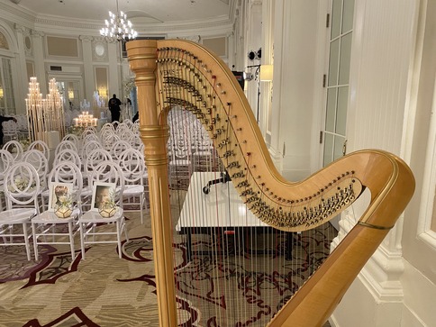 Detroit Suburbs Wedding Harpist