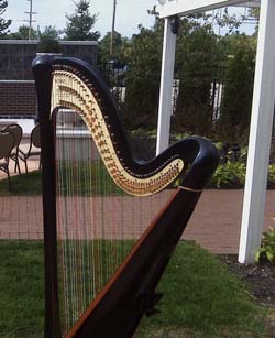 Hilton Garden Inn, South Bend, Indiana, Wedding and Harp Music