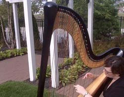 Hilton Garden Inn, South Bend, Indiana, Wedding and Harp Music