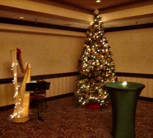 Indianapolis Harpist for Christmas Parties