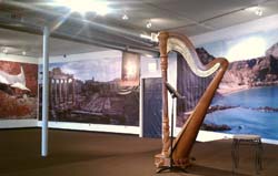 chicago school of hot yoga, chicago, illinois, harp music