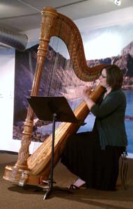 chicago school of hot yoga, chicago, illinois, harp music