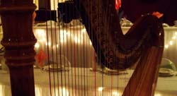 Indiana Operating Engineers Hall, Merrillville, Indiana, Wedding and Harp Music