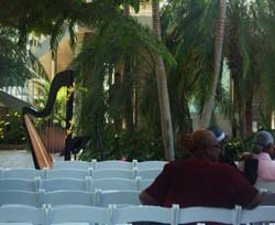 jewel box forest park, St. Louis, Missouri, Wedding and Harp Music