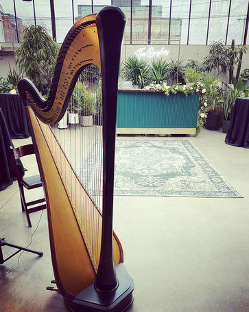 madison Wedding Harpist