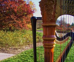 Minnesota Landscape Arboretum, Chaska, Minnesota, Wedding and Harp Music