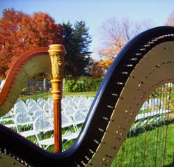Minnesota Landscape Arboretum, Chaska, Minnesota, Wedding and Harp Music