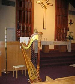 Northwest Indiana Harp Player