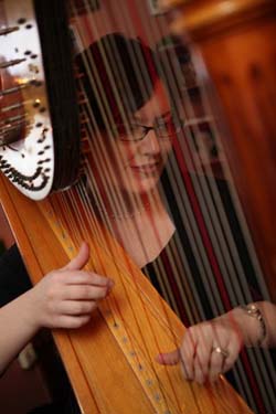 private residence, niles, michigan, wedding and harp music