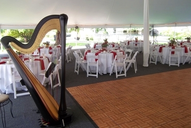 Wedding Reception Live Music Harp