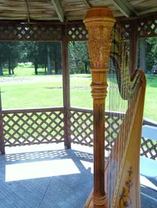 Pilcher Park, Joliet, Illinois, Wedding and Harp Music