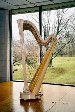 New Year's Eve Music for a Wedding Reception Harp