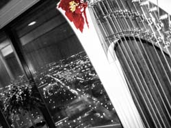 Skyline Club