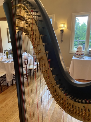 Harpist St Genevieve Wedding Music