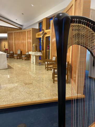 st. louis harpist