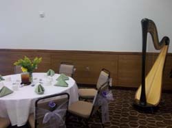 statehouse inn, springfield, illinois, wedding and harp music