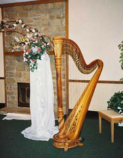 Wedding Harpist in Southern Indiana