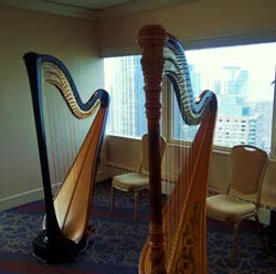 swissotel edelweiss penthouse, chicago, illinois, wedding and harp music