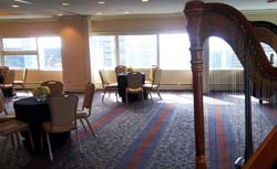 swissotel edelweiss penthouse, chicago, illinois, wedding and harp music