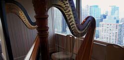 swissotel edelweiss penthouse, chicago, illinois, wedding and harp music