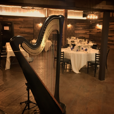 Twin Cities Harpist