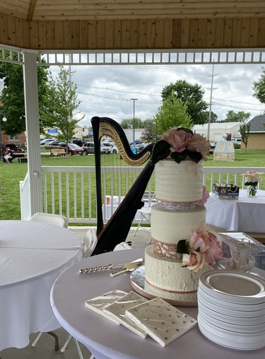 Vinton Iowa Wedding Harpist