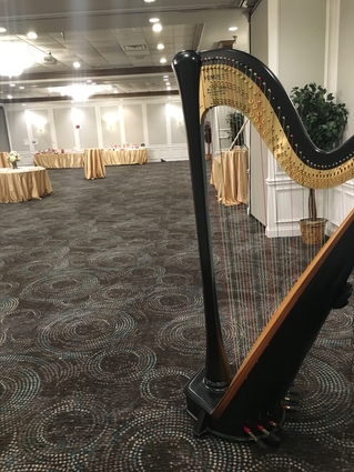 Wedding Harpist in Decatur