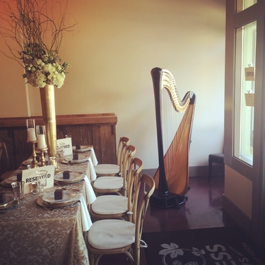 Cedar Rapids Iowa Wedding Harpist