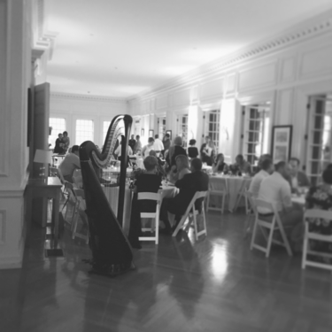 Wedding reception at Allerton Park Mansion - Live Harp Music